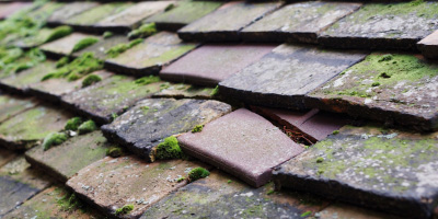 Sugnall roof repair costs